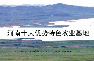 8月19日，河南省政府發(fā)布了關(guān)于深入推進農(nóng)業(yè)供給側(cè)結(jié)構(gòu)性改革 大力發(fā)展優(yōu)勢特色農(nóng)業(yè)的意見