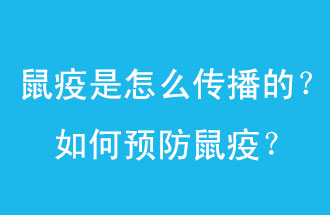 鼠疫是怎么傳播的？如何預(yù)防鼠疫？